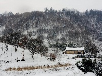 新年第二场雪任性而认真，雪景美不胜收