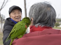 陪伴，是最长情的告白