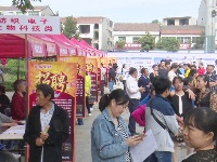 @退役军人 谷城开发区专场招聘会为你而来！