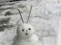 2018新年迎暴雪，谷城人堆雪娃娃如此惊艳