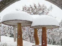 2018新年初雪，美丽不可言说