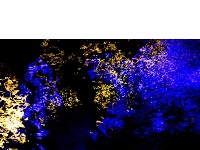 水语心花：夜幕下的汉江表情