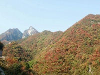 深山秋色