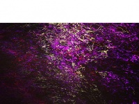 水语心花：夜幕下的汉江表情