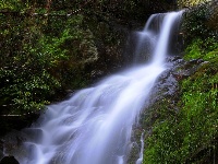 赵湾的人·村·景