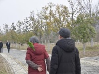 陪伴，是最长情的告白