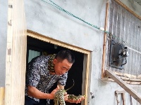 汤国波：谷城养蛇第一人
