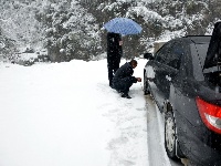 赵湾普降大雪