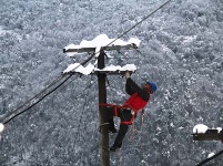 大雪突袭 谷城全力抢修受损电力设施