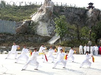 谷城60余老年朋友樱花谷里秀太极