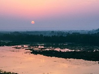 谷城晨早