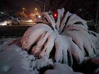 2018新年初雪，美丽不可言说
