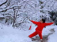 雪中太极，美到爆！