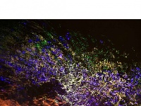 水语心花：夜幕下的汉江表情