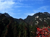 赵湾漆树垭风光