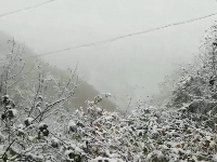 谷城今冬第一场雪来啦