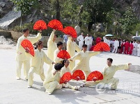 谷城60余老年朋友樱花谷里秀太极