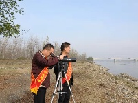 谷城启动中华秋沙鸭生存状况调查