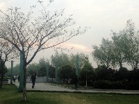 晨曦