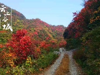 庙滩郭峪深秋美景