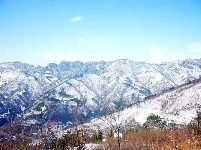 赵湾春雪