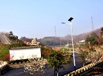 城关老君山樱花谷繁花似锦