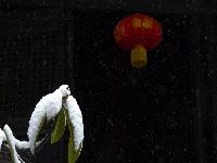 大雪纷飞后茨河承恩寺的高颜值