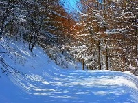 赵湾春雪