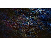 水语心花：夜幕下的汉江表情