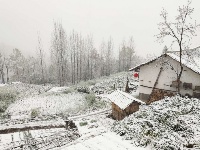 赵湾渔坪传奇美 飞雪迎春绿映红