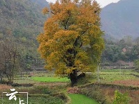 庙滩郭峪深秋美景