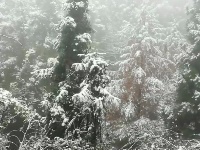 谷城今冬第一场雪来啦