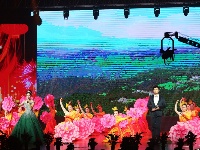 2020谷城县迎新春文艺晚会激情上演