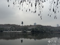 谷城不下雪，看人家武汉