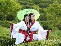 汉服秀惊艳老君山樱花谷
