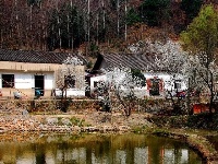 早春人家