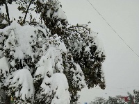 2018新年初雪，美丽不可言说