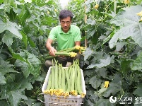 冷集农超对接惠商惠农