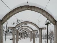 2018新年初雪，美丽不可言说