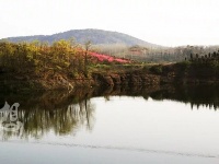 谷城百花岛