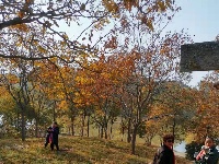 冬日谷山公园