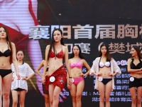 襄阳上演深V诱惑 一大波美胸妹子来袭