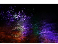 水语心花：夜幕下的汉江表情