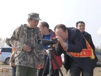 谷城启动中华秋沙鸭生存状况调查