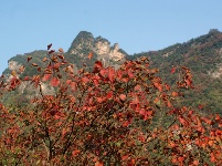 深山秋色