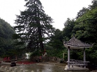 赵湾随拍