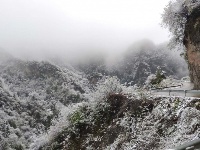 赵湾渔坪传奇美 飞雪迎春绿映红