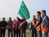 谷城启动中华秋沙鸭生存状况调查
