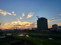 美丽石花