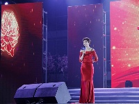 “石花之夜”群星闪耀